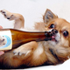 Image for article titled The Strange History of Bottled Drinks Marketed to Dogs and Cats
